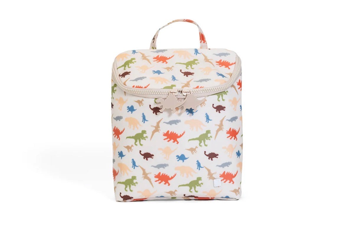 Take Away Insulated Lunch Bag